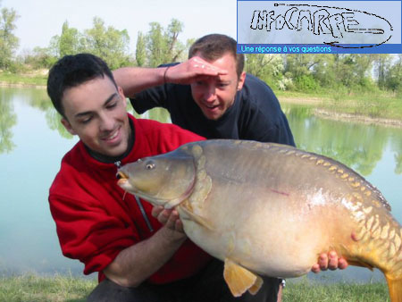 Voir l'image en taille réelle Voir l'image en taille réelle