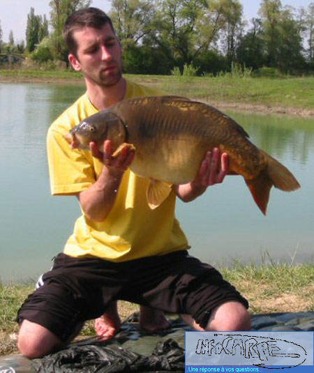 Voir l'image en taille réelle Voir l'image en taille réelle